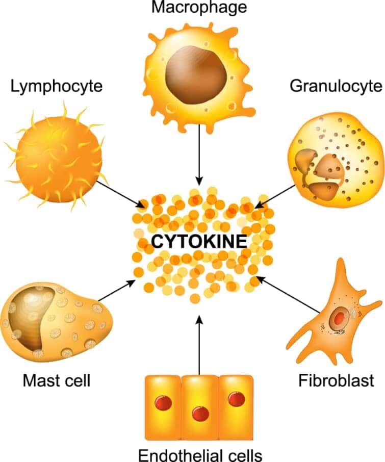 サイトカインは、マクロファージ、リンパ球、肥満細胞、内皮細胞、及び線維芽細胞によって産生される。サイトカインは、ケモキン、インターフェロン、インターロイキン、リンパキン、腫瘍壊死因子を含む