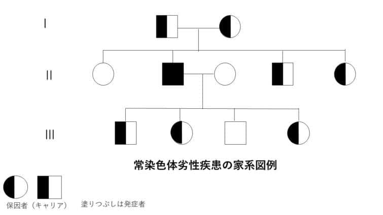 常染色体劣性疾患の家系図例