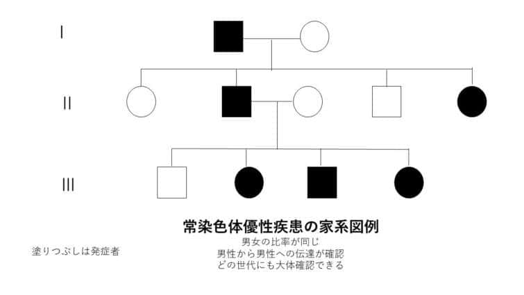 常染色体優性疾患の家系図例