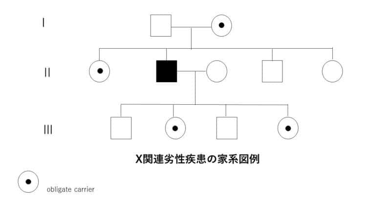 X連鎖劣性疾患の家系図例