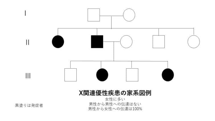 X関連優性疾患の家系図例