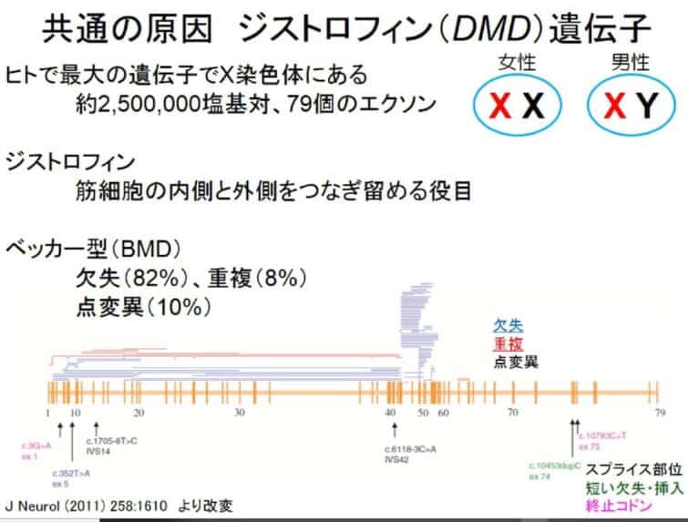 DMD東京医科歯科大学の難治疾患研究所の市民公開講座の資料
