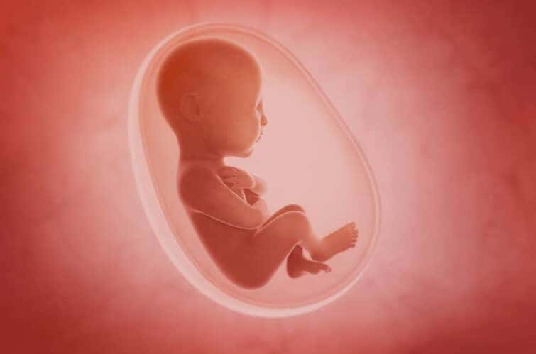 胎動に関するコラム