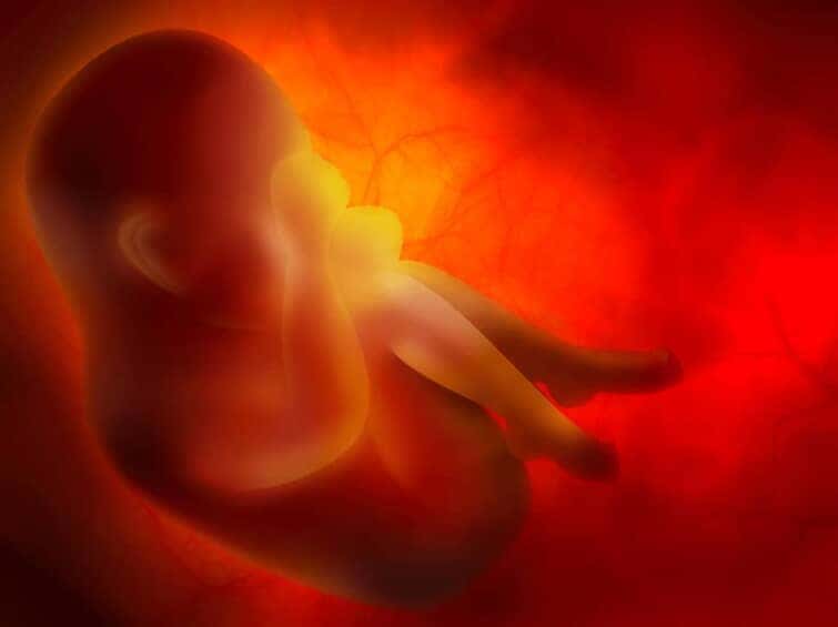 妊娠13週の胎児と母体の特徴とおすすめの3つの運動
