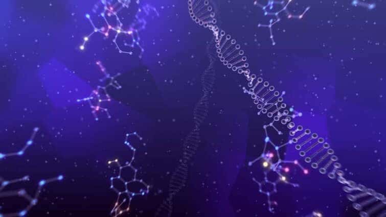 DNAと塩基のイメージ画像