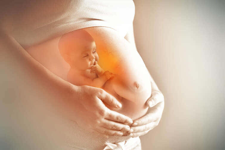 妊娠中の女性の腹の接写、コンセプト的な母性像