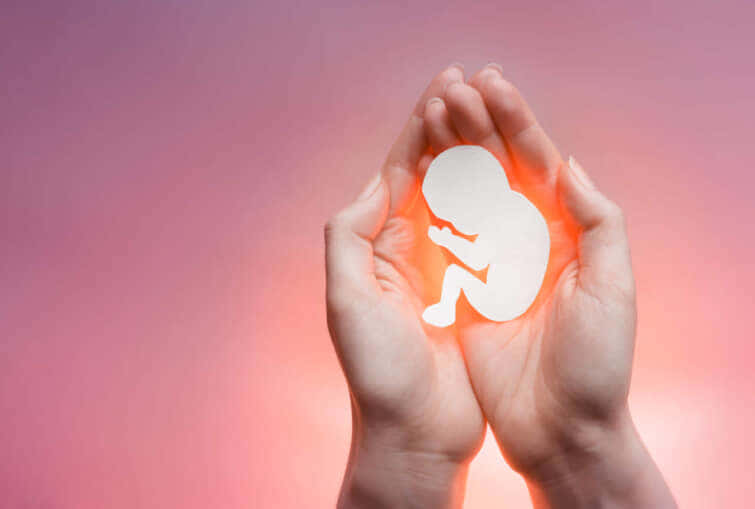 白い紙の胚が女性の右手にシルエットを施した。ピンクと紫色の背景。妊娠、避妊、妊娠中絶