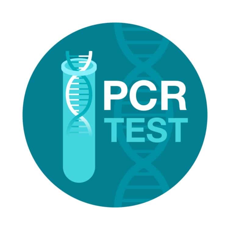 PCRのイラスト