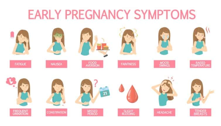 妊娠の最初の症状。病気と便秘、食欲の変化、嘔吐。妊娠中の女性の気分が揺れる初期の兆候。
