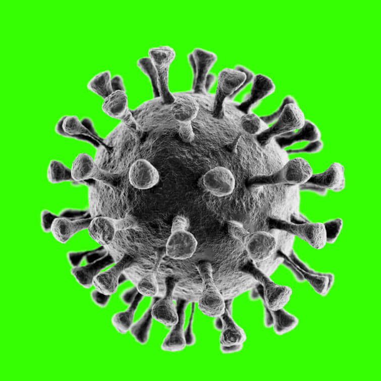 コロナウイルスのイメージ