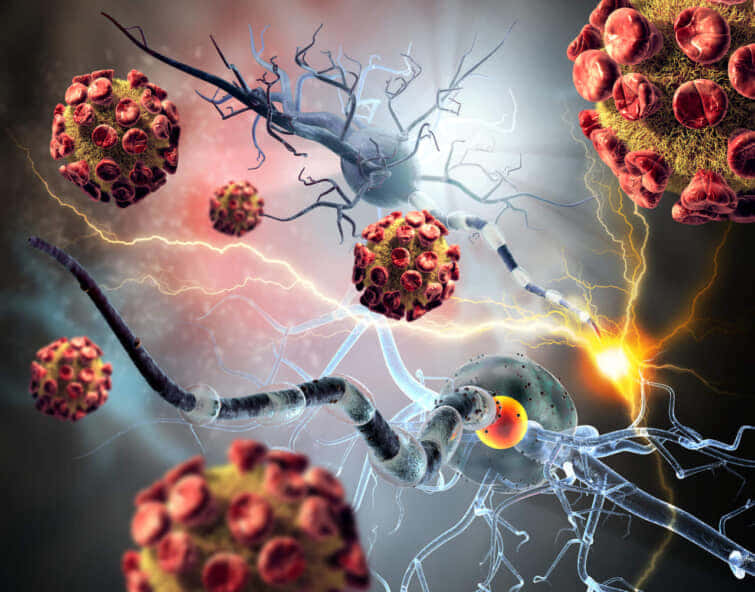 神経細胞を攻撃する免疫細胞のイメージ