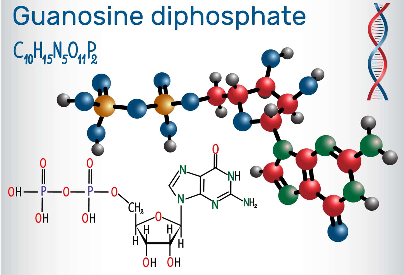グアノシン二リン酸（GDP）の分子。構造化学式と分子のモデル。