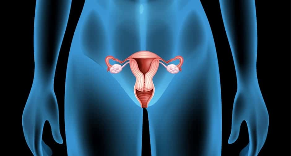 卵巣嚢胞とは？自然に消えることはある？症状や検査、治療法を解説