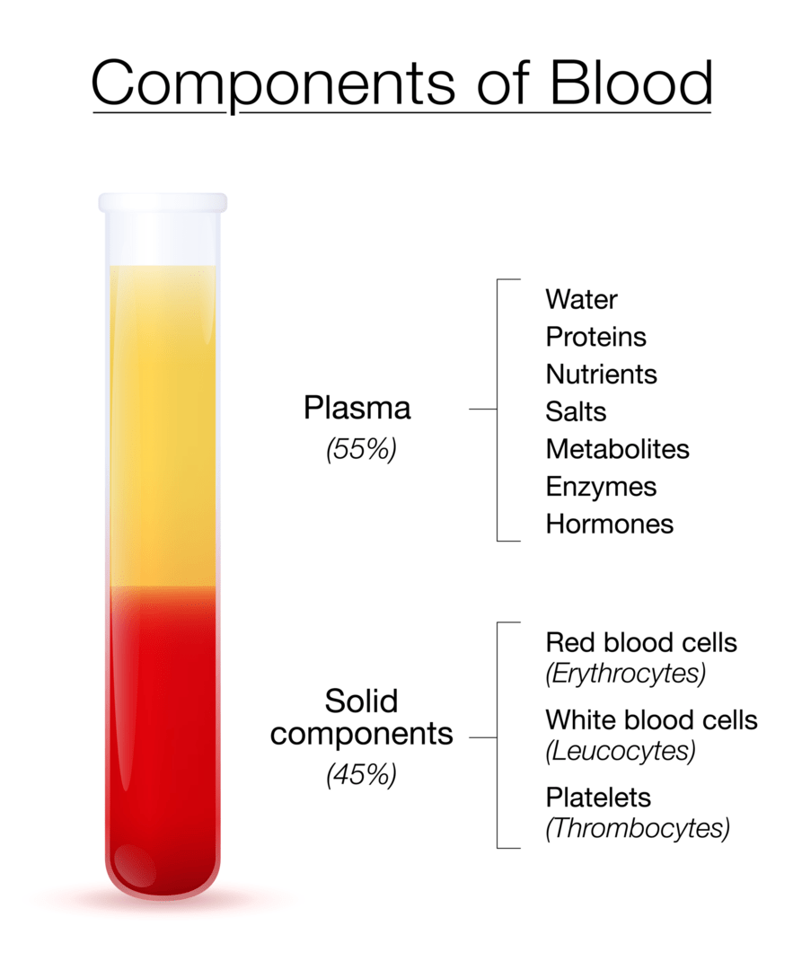 血漿