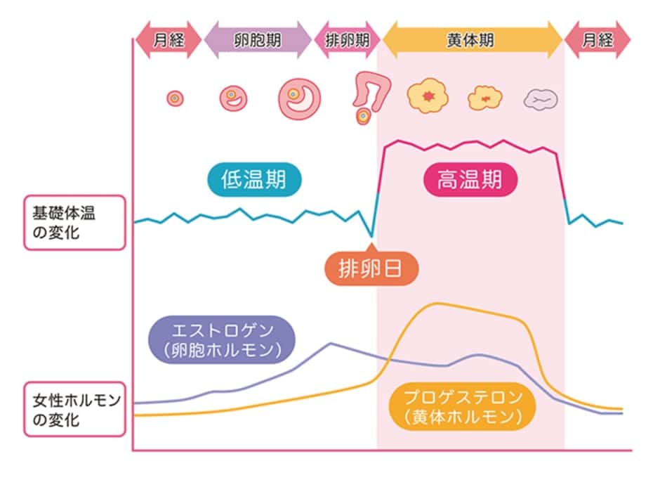 チェックリスト 妊娠超初期症状選と生理前症状との違いい 注意点を解説