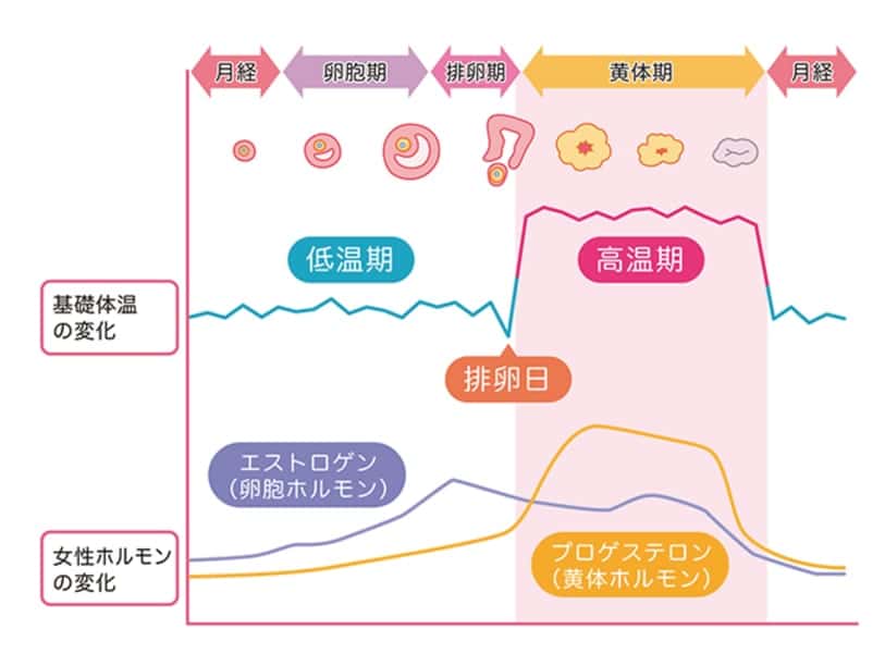 無排卵が原因 基礎体温がガタガタな人に考えられる原因と対処法