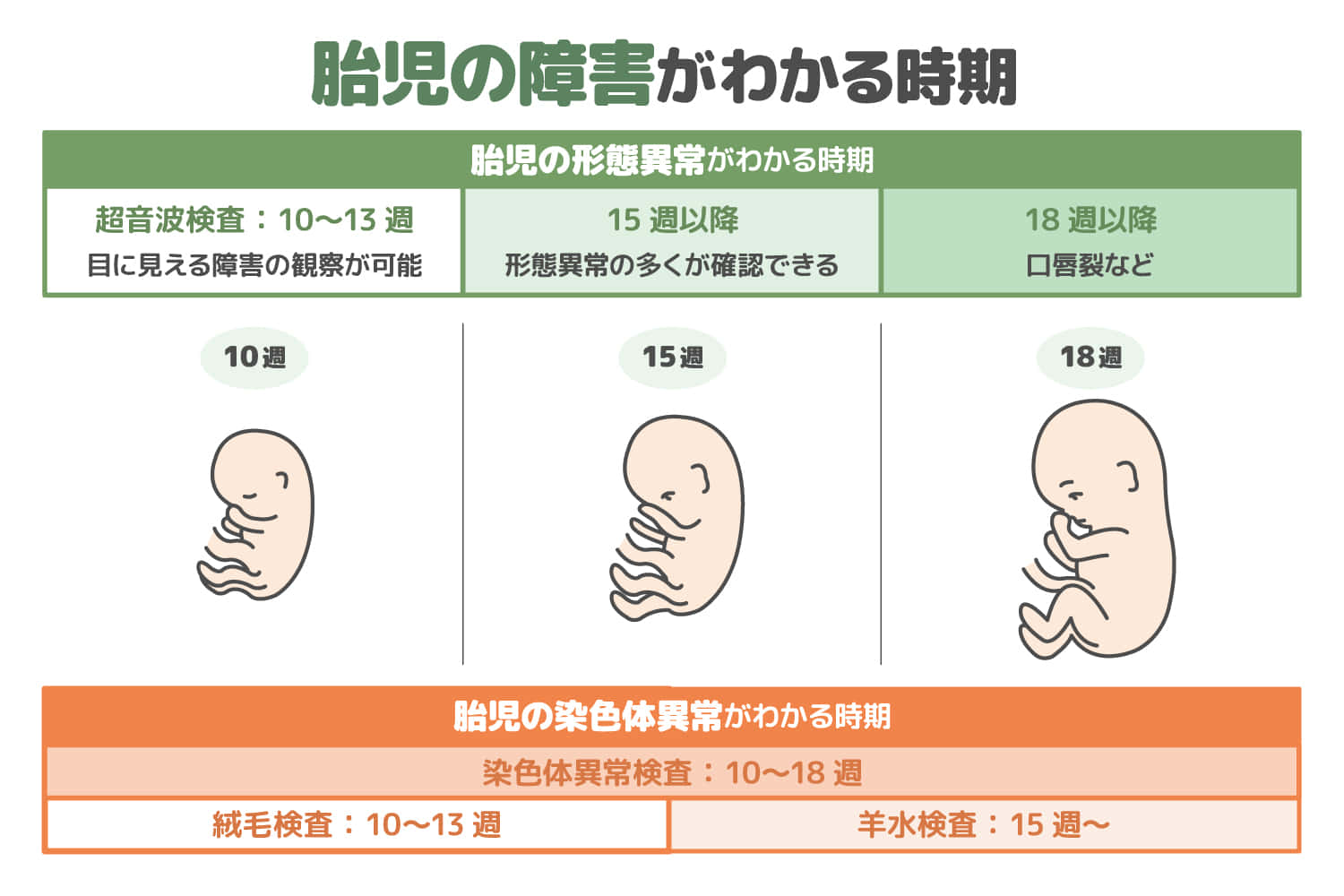 胎児の障害はいつわかる 妊娠中の検査方法を紹介