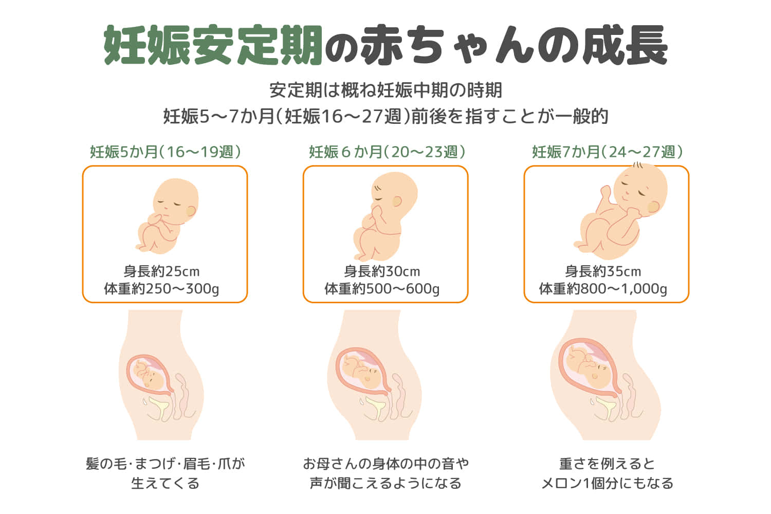 妊娠安定期の赤ちゃんの成長や注意点を徹底解説