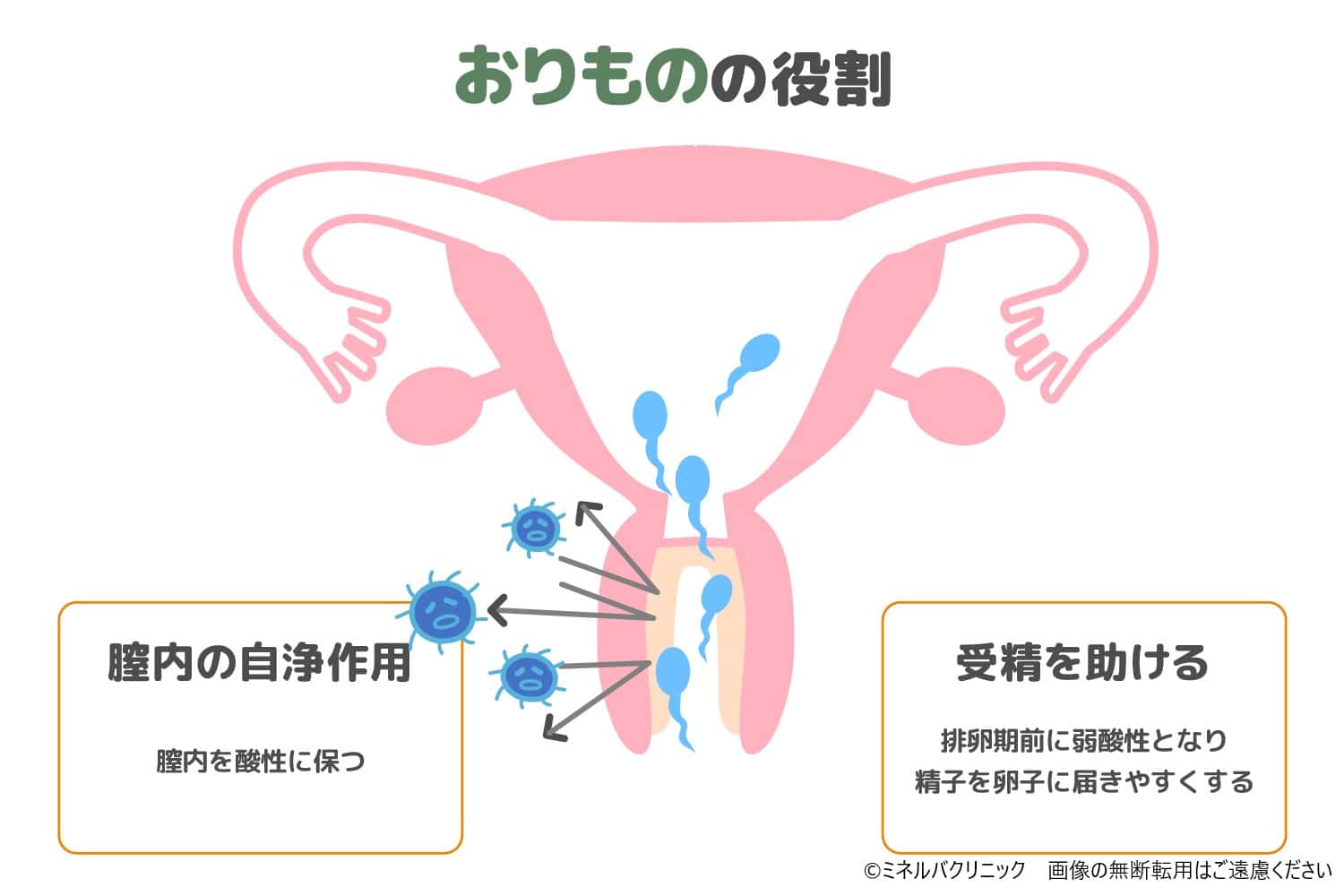 排卵日のおりものとは チェック方法を詳しく解説