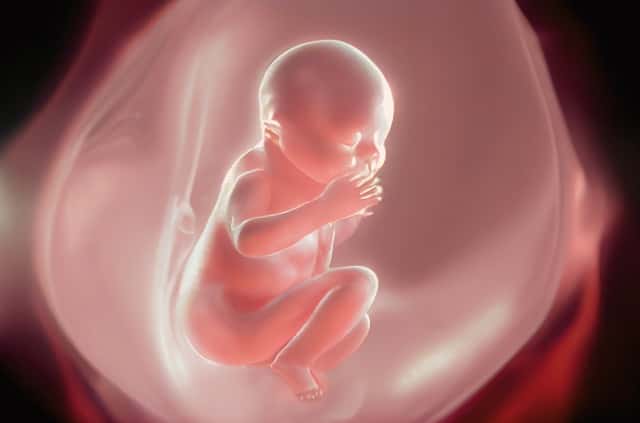胎盤の基礎｜完成時期や役割・妊娠中の胎盤トラブルと予防法を解説【妊娠初期の方へ】