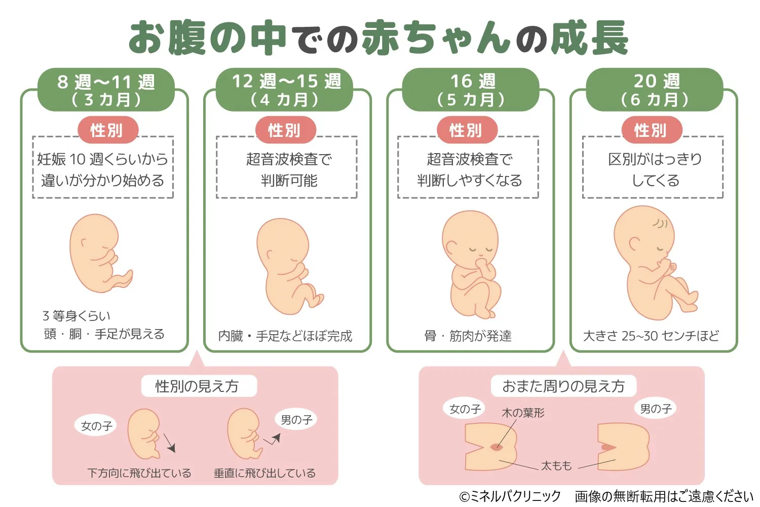 妊娠初期性別検査キット その他