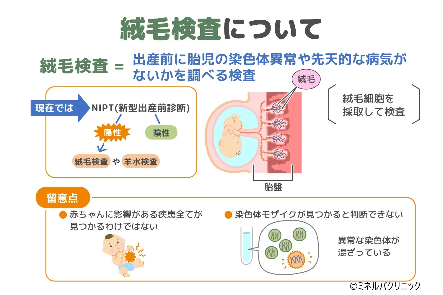 絨毛検査 その他の