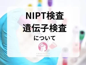 niptについて