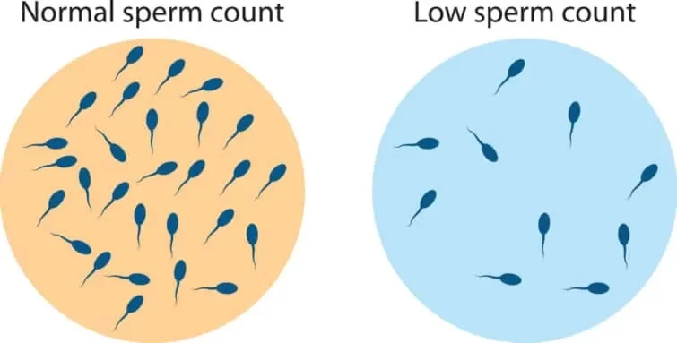 精子の量が少ない