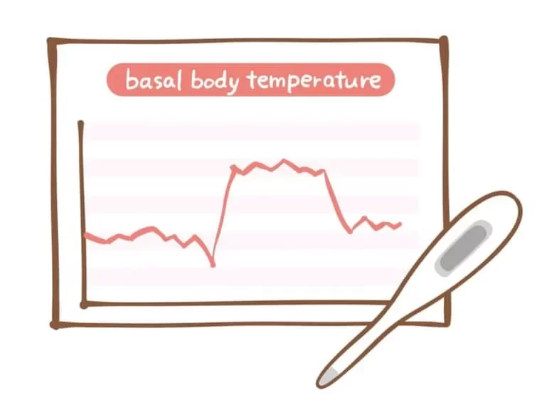 基礎体温表と基礎体温計