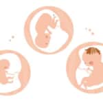 妊娠超初期症状 思い込み想像妊娠との見分け方 体験談 7つの注意点