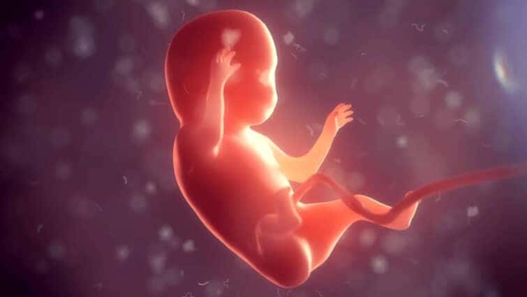妊娠12週の胎児と母体の特徴と始めるべき母体のケア