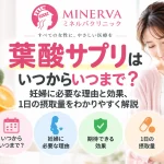 葉酸サプリはいつからいつまで必要なのか、妊婦に葉酸が必要な理由と期待できる効果、1日の摂取量を解説する記事のアイキャッチ