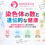 染色体の数と遺伝的な健康について、ヒトの染色体46本の基本や染色体数の異常、関連する疾患と遺伝学的検査を解説する記事のアイキャッチ
