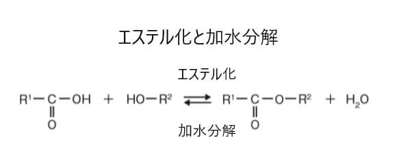 エステル化と加水分解