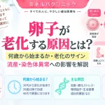 卵子の老化について、年齢による変化や原因、流産・染色体異常への影響を解説するアイキャッチ
