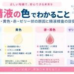 精液の色や性状について、透明・白色、黄色、赤色・茶色、ゼリー状・粘りが強い場合に考えられる原因と、精液検査や泌尿器科受診を検討する目安を示したインフォグラフィック