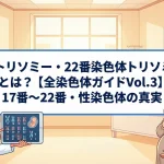 19トリソミー・22番染色体トリソミーとは？【全染色体ガイドVol.3】17番〜22番・性染色体の真実