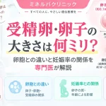 受精卵と卵子の大きさ、卵胞とのサイズの違い、妊娠率との関係を解説するアイキャッチ