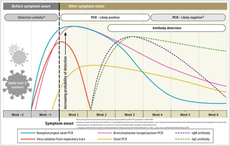 新型コロナウイルス感染後のウイルス量抗体量の推移