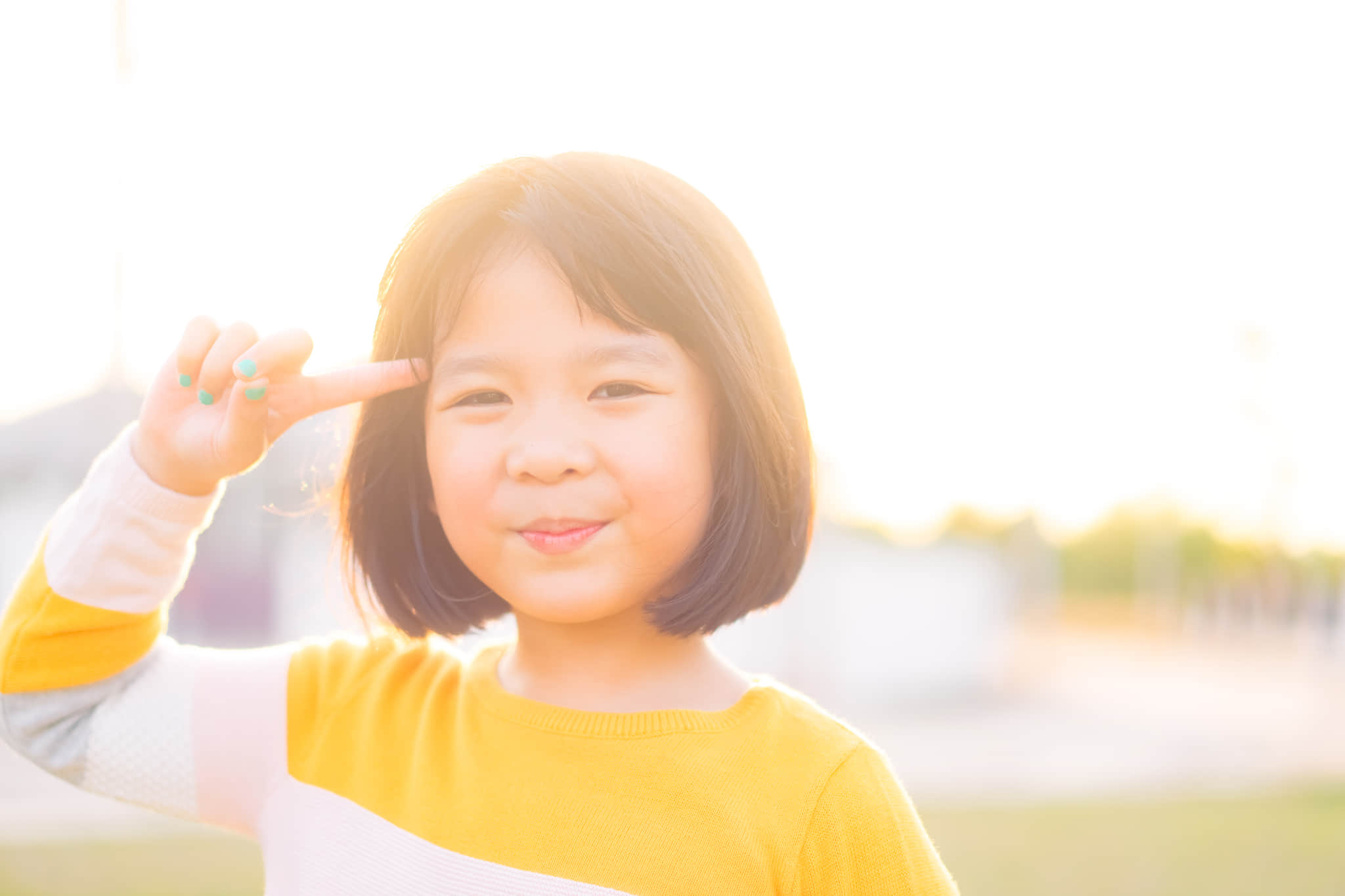 IQのコンセプト