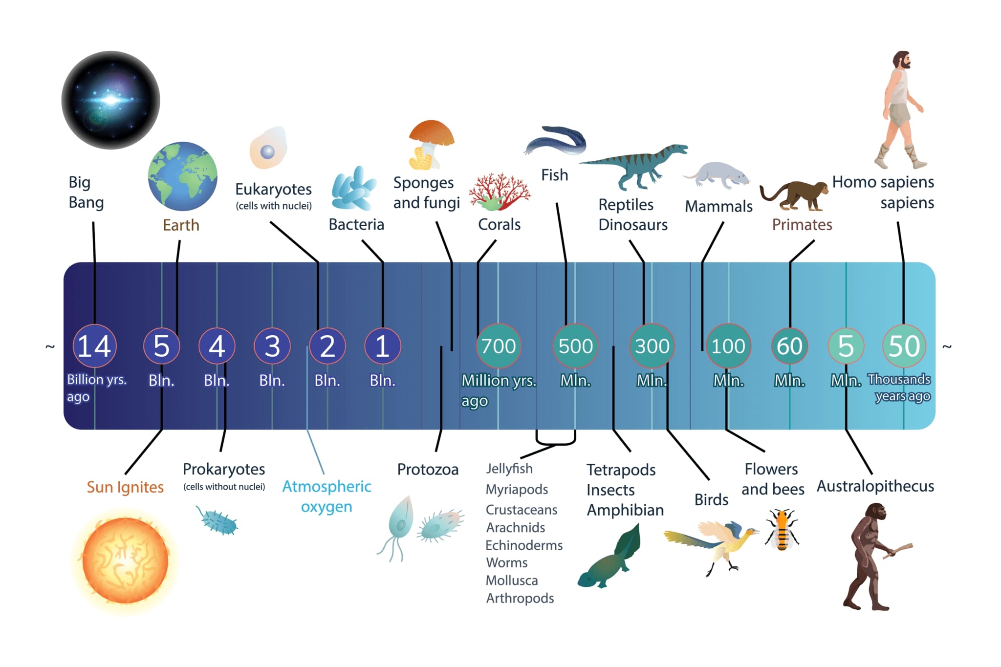 生物の進化