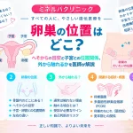 卵巣の位置はどこにあるのか、へそからの目安や子宮・卵管との位置関係、外から触れることができるのかを医師が解説する記事のアイキャッチ