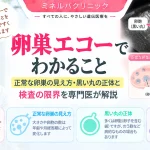 卵巣エコーで確認できる卵巣の大きさや卵胞、正常な見え方、黒い丸の正体と検査の限界を解説するアイキャッチ
