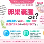 卵巣嚢腫とは何か、卵巣嚢胞との違いや種類・症状、自然に消える場合と手術を検討する目安を解説するアイキャッチ