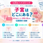 子宮はどこにあるのか、おへそからの位置の目安や膀胱・腸との位置関係を図解する記事のアイキャッチ
