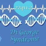 染色体22の微小欠失症候群に関する図。ディ・ジョージ症候群。22q11.2