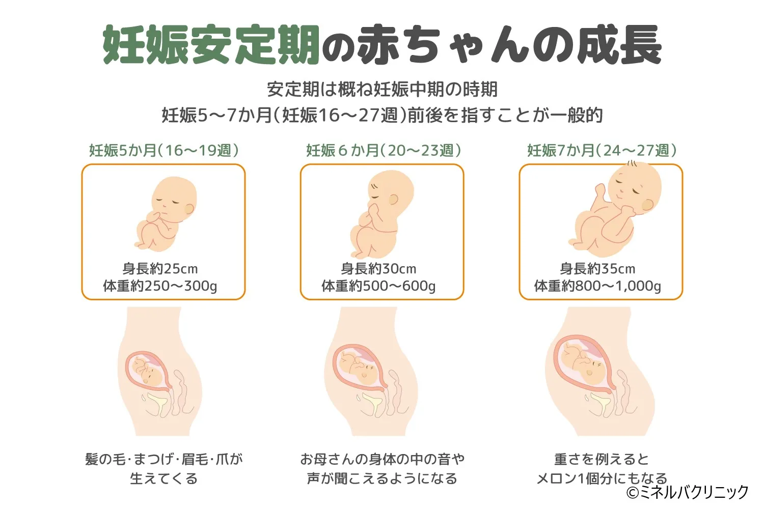 妊娠安定期の赤ちゃんの成長や注意点を徹底解説