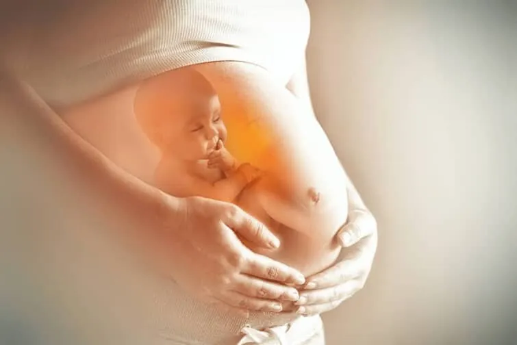 妊婦さんと胎児