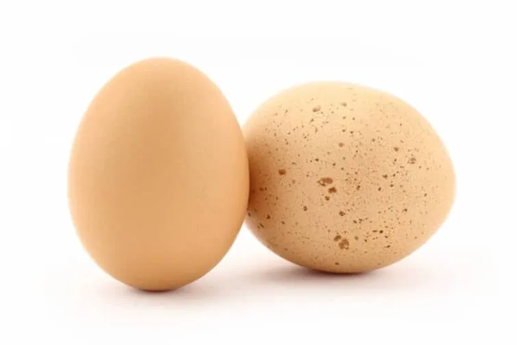 卵の老化のイメージ