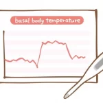 基礎体温表と基礎体温計